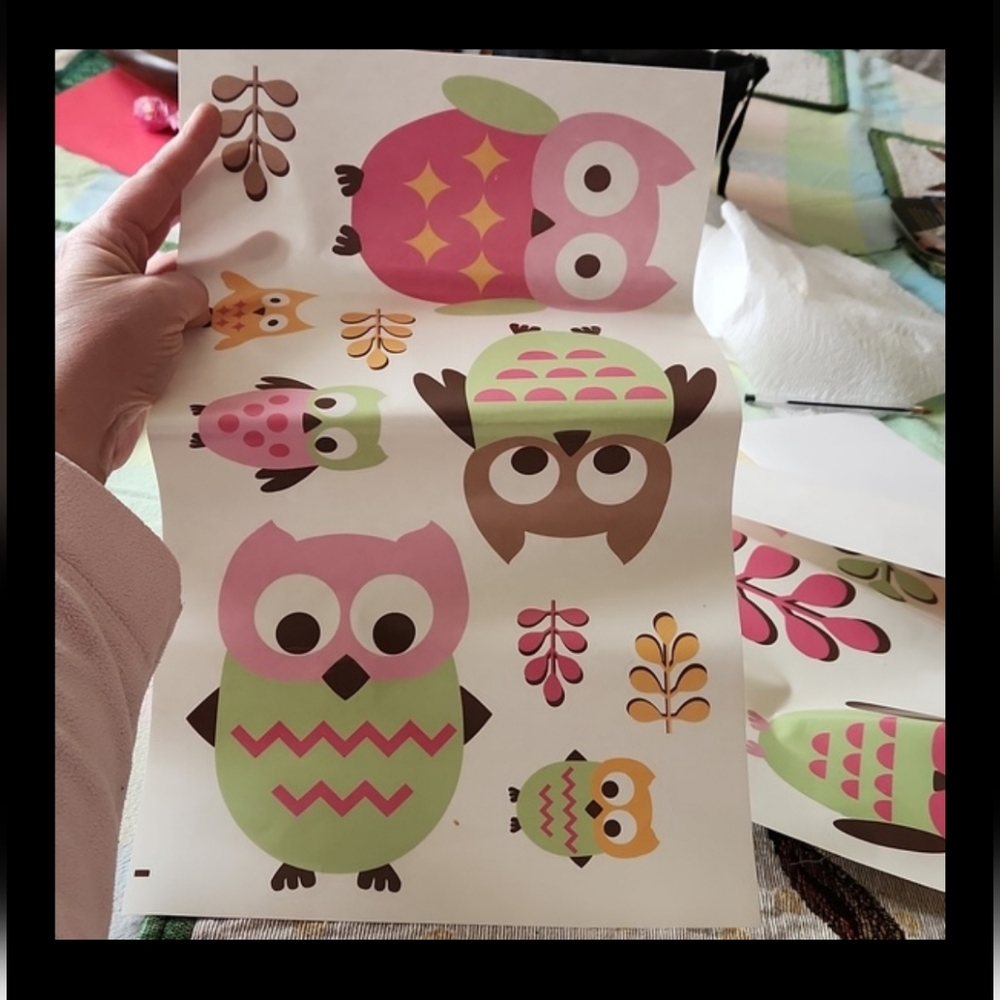 Sweet JoJo Designs Happy owl removable vinyl owl clings 2 packs see desc…